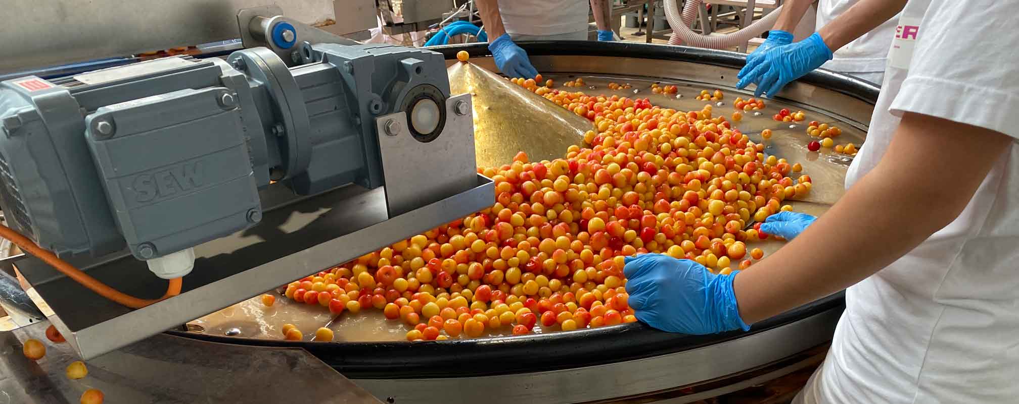 Le retour des beaux jours... et des fruits !